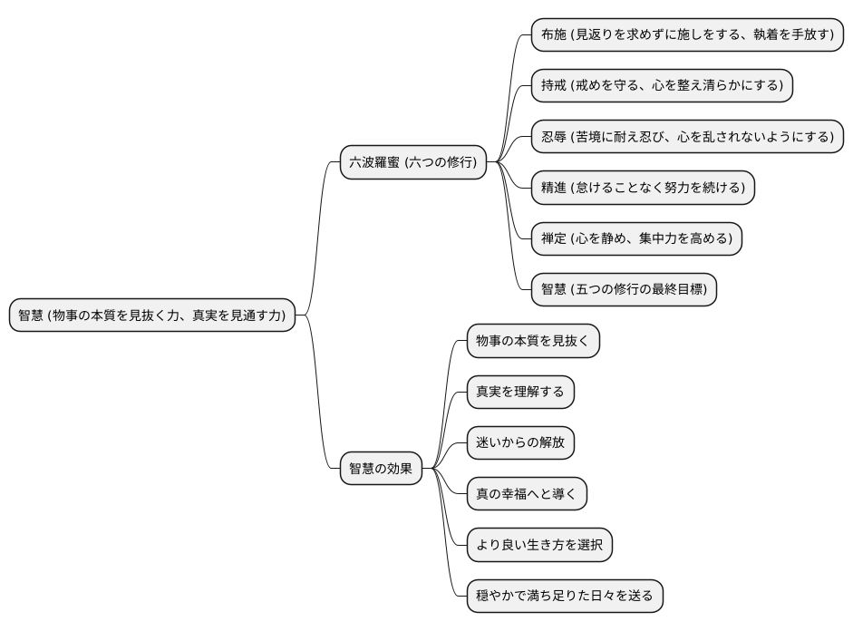 真理を悟る：智慧の光