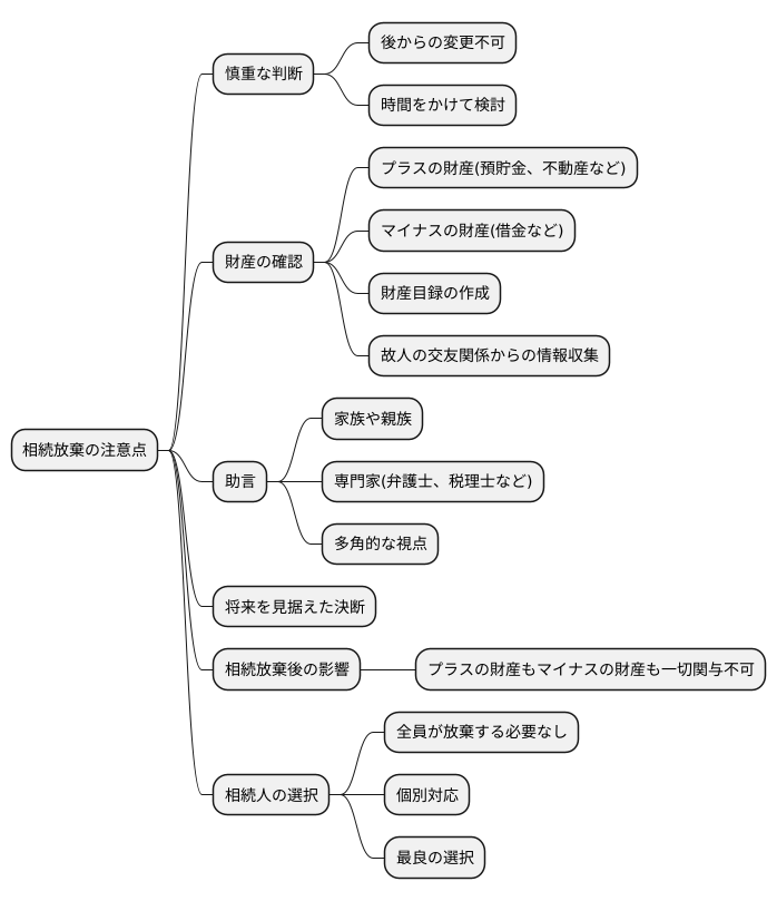 相続放棄の注意点