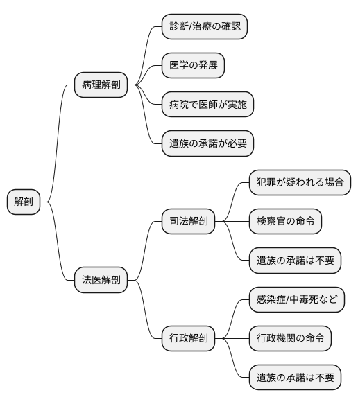 解剖の種類