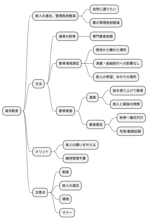 海洋散骨の実際